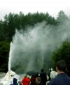Lady Knox Geyser

Trip: New Zealand
Entry: Geyser Land
Date Taken: 03 Mar/03
Country: New Zealand
Viewed: 1081 times